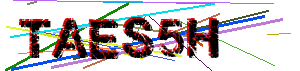 Human verification code (Captcha)